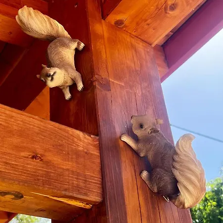 بيت للعطل Casa Dello Sciatore لوريكا