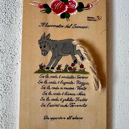 Casa Dello Sciatore *