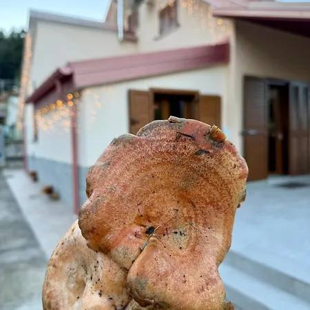 بيت للعطل Casa Dello Sciatore *