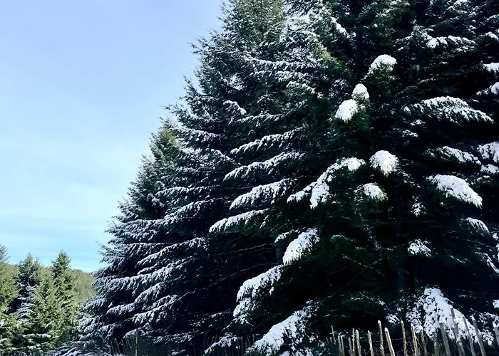 Tatil Evi Casa Dello Sciatore Lorica