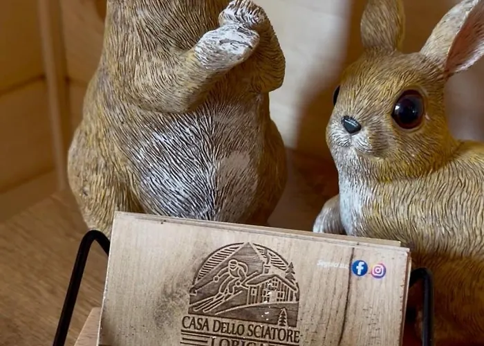 Casa Dello Sciatore 別荘 *